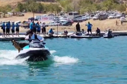 Elazığ'da sahibiyle jet ski turu atan köpek gülümsetti
