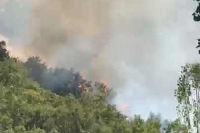 Hakkari Şemdinli'de orman yangını