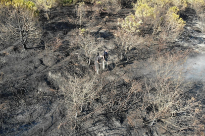 Kocaeli'deki orman yangını 1 saatlik müdahaleyle kontrol altına alındı