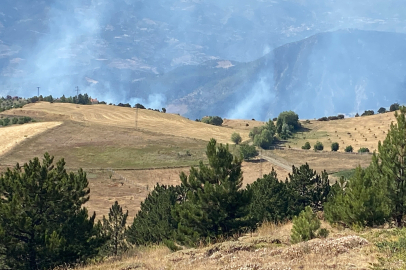 Çorum'da orman yangını