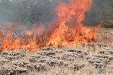 Gümüşhane’de çobanın yaktığı ateş yangına sebep oldu