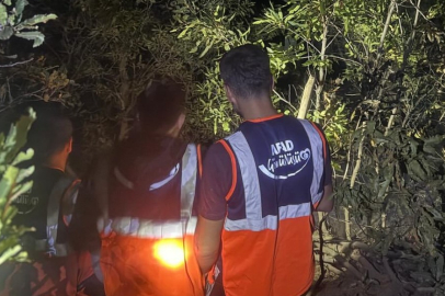 Hakkari'de orman yangını