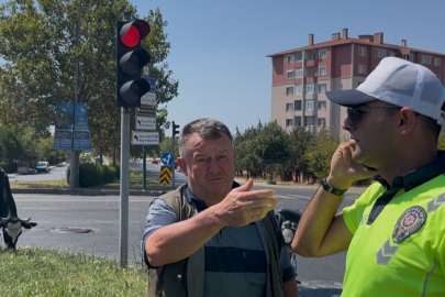 Tekirdağ'da çiftlikten firar eden inek sürüsü şehir merkezine indi