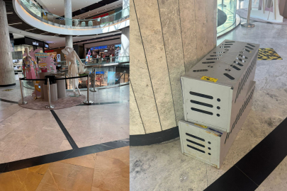 Bursa'daki dev AVM'de kedi kapanı şoku!