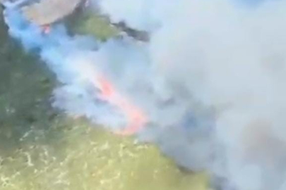 Bursa Nilüfer’deki orman yangını kontrol altına alındı