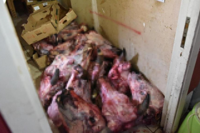 Denetimden çıkanlar şoke etti! Tavuk eti, dana kelleleri, hamam böceği yumurtaları..