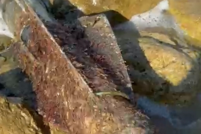 İstanbul Şile sahilinde roket başlığı olduğu değerlendirilen cisim imha edildi