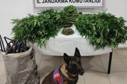 Konya’da uyuşturucu tacirlerine operasyon