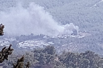 Muğla'da yangın ormana sıçramadan söndürüldü