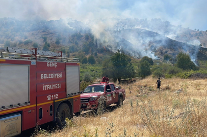 Bingöl'de köyde çıkan yangın ormana sıçradı