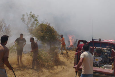 Bingöl'deki orman yangını kontrol altına alındı