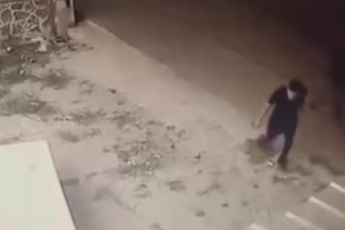 Ankara'da bir şahsın köpeğe şiddeti kameraya yansıdı