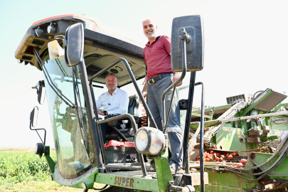 Bursa'da domatesin başkenti Karacabey’de hasat sezonu sürüyor