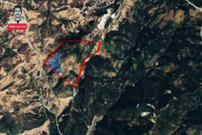 Bursa'da ormana mermer ocağı! Resmi süreç başladı: Yangın riski...