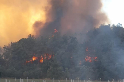 İzmir'de orman yangını