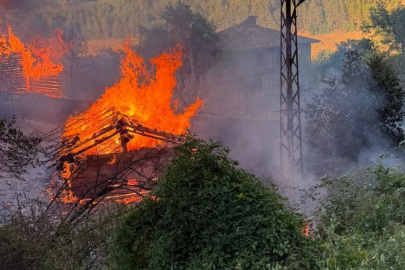 Kastamonu'da alevlere telim olan iki samanlık yandı