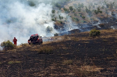 Malatya Hekimhan'da çıkan orman yangını söndürüldü