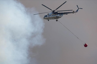 Mehmetçik, ormanın kahramanlarıyla omuz omuza