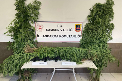Samsun'da jandarmadan silah ve uyuşturucu operasyonları