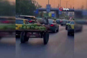 Suriye'de karpuz yüklü at arabası trafiği birbirine kattı
