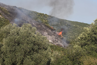 Bursa'da Gedelek yangını ile ilgili 1 kişi gözaltında!