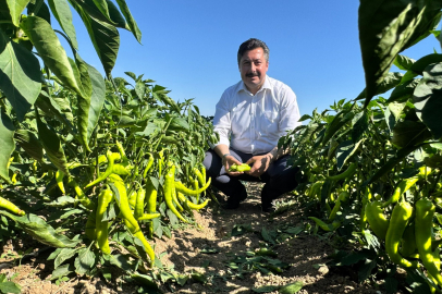 Bursa Yenişehir Belediye Başkanı Ercan Özel, tarım işçilerini tarlada ziyaret etti