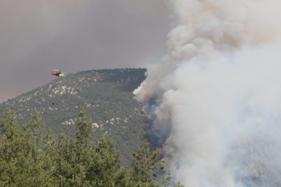 Denizli'de orman yangını çıktı