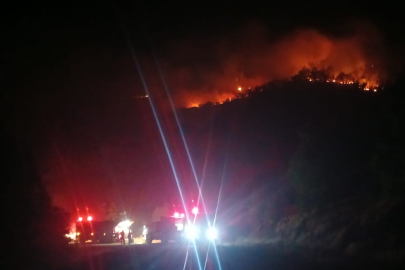 Malatya'daki orman yangını sürüyor