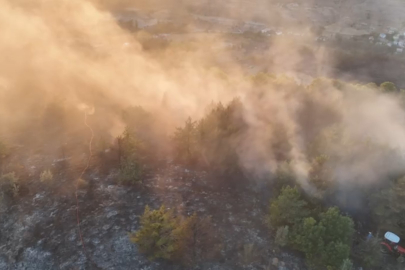 Ordu'da ormanlık alanda çıkan yangın söndürüldü