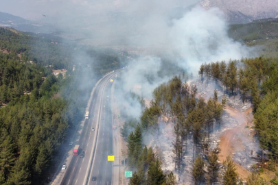 Adana'da aracın neden olduğu orman yangını kontrol altına alındı