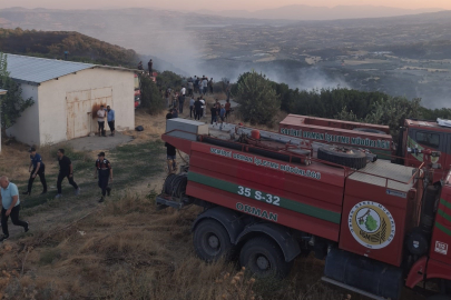 Manisa'da orman yangını