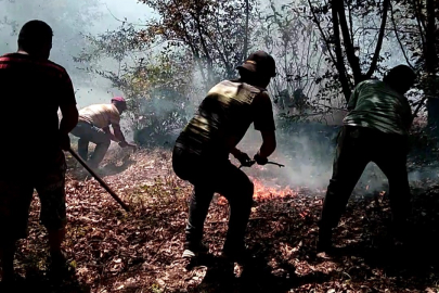 Ordu'nun iki ilçesinde çıkan yangın ekipler tarafından söndürüldü