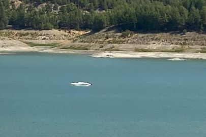 Burdur'da eğitim uçağı düştü