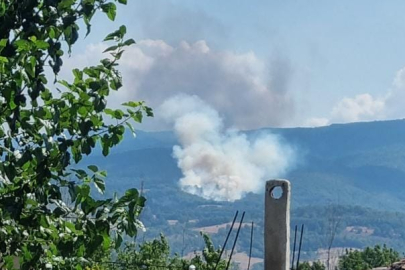 Bursa'da tarlada çıkan yangın söndürüldü