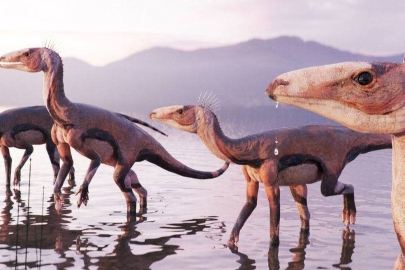 Evrim tarihini değiştirebilir! 225 milyon yıllık fosil dinozor...