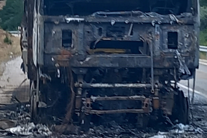 Gümüşhane'de seyir halindeki çekici alevlere teslim oldu