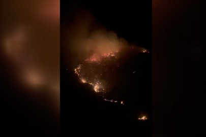 Marmara Adası'ndaki yangın kontrol altına alındı