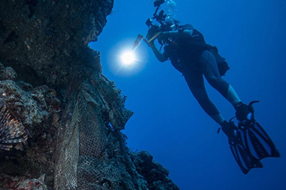 Türkiye denizleri alarm veriyor! Mercanlar, çayırlar, balıklar...