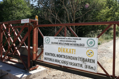 Bursa'da bir muhtar ormana izinsiz girişleri engellemek için bariyer yaptırdı!