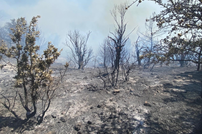 İzmir'deki orman yangını kontrol altına alındı