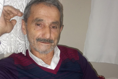 Kastamonu'da üzerine ağaç devrilen adam hayatını kaybetti