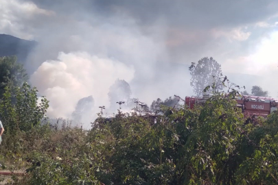 Kocaeli'de sazlık alanda korkutan yangın
