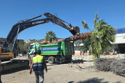 Milletvekili tepki göstermişti: Bursa'daki o terminal binasının yıkımı başladı!