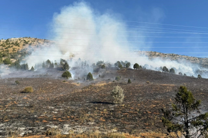 Adana'daki orman yangını kontrol altına alındı