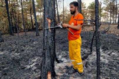 Bursa'da yanan ağaçları tek tek saydılar!