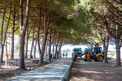 Bursa'ya devasa park ve mesire alanı