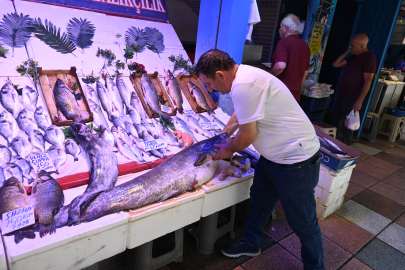 Eskişehir'de 40 kiloluk yayın balığını görenler 'Canavar gibi' diyor