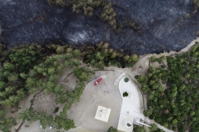 Çanakkale'de 118 orman yangınında 7 bin 39 hektar alan zarar gördü