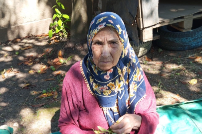 Düzce'de 81 yaşındaki kadın her yerde aranıyor