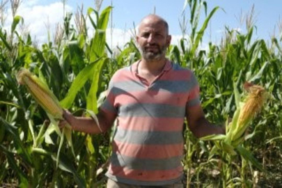 Hepsinin gözdesi oldu: Ek gelir sağlıyor!